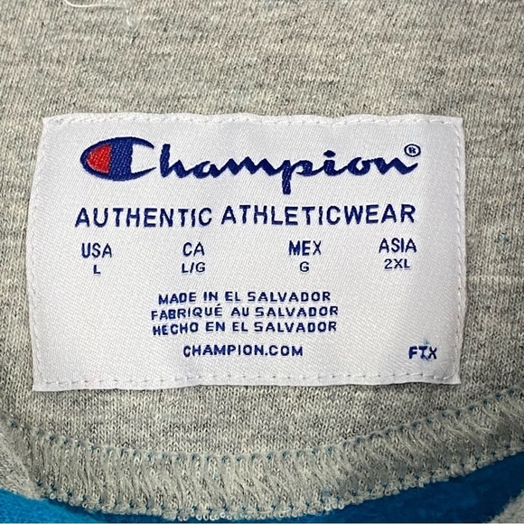 CHAMPION Powerblend Graphic Hoodie - Picture 11 of 11